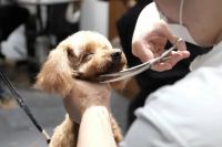 这是中国县城房子的最终归宿！你还敢买吗？