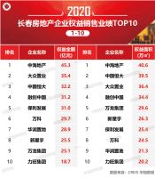 2020年1-10月长春房地产企业销售业绩排行榜