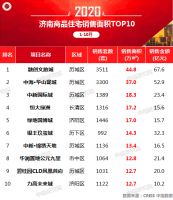 2020年1-10月济南房地产企业销售业绩排行榜