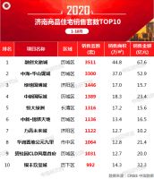 2020年1-10月济南房地产企业销售业绩排行榜
