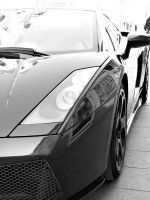 宾客至美 | 现代轻奢,唤醒时尚生活