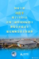 进博会倒计时 | 全球盛会 非遗同行