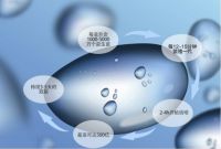 活性益生菌居然可以除甲醛，科里思特让您的空气更加洁净