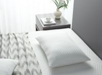 乐享生活！泰普尔再推新品，由内而外升级睡眠新体验