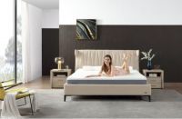 乐享生活！泰普尔再推新品，由内而外升级睡眠新体验