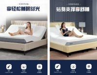 乐享生活！泰普尔再推新品，由内而外升级睡眠新体验