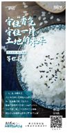 龙民齐聚、共享盛宴！重庆龙湖2020龙民节圆满落幕-中国网地产