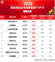 2020年1-10月潍坊房地产企业销售业绩排行榜