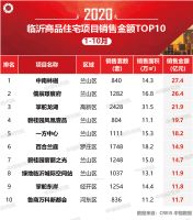 2020年1-10月临沂房地产企业销售业绩排行榜