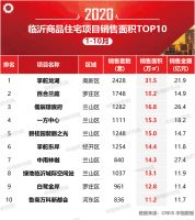 2020年1-10月临沂房地产企业销售业绩排行榜