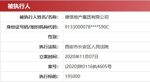 德信地产被列为执行人 执行标的19.5万元-中国网地产