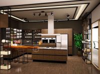 不锈钢家居保持强劲趋势，中国不锈钢橱柜十大品牌崭露头角！