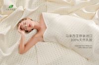 全球顶级100%纯乳胶品牌,马来西亚GETHA吉达诚邀加盟!