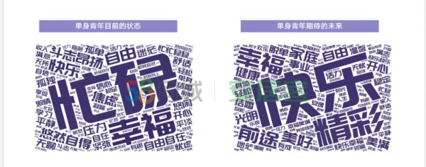 58同城、安居客2020单身青年居