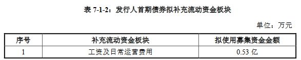 凯华地产40亿元小公募公司债券在上交所提交注册-中国网地产