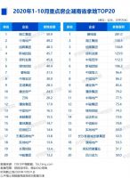2020年1-10月湖南房地产企业拿地排行榜
