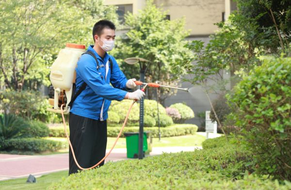 中国铁建·西派府 | 中铁建物业服务 为美好生活加冕-中国网地产