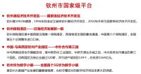 共筑海丝路,扬帆钦州湾!2020年广西钦州城市推介会即将开启