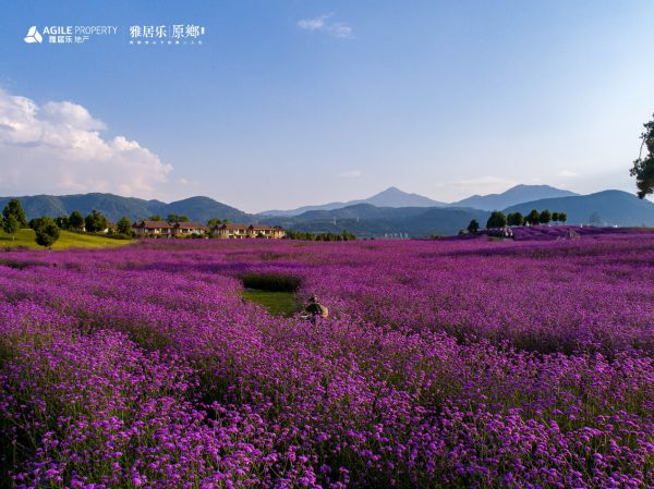 雅居乐首入贵阳摘地经开 贵州首个自营项目正式落地-中国网地产