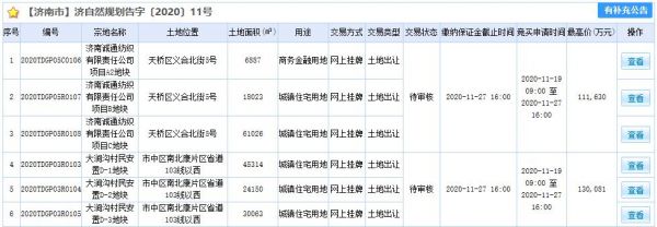 鲁商13.01亿元竞得济南市中区3宗地块-中国网地产