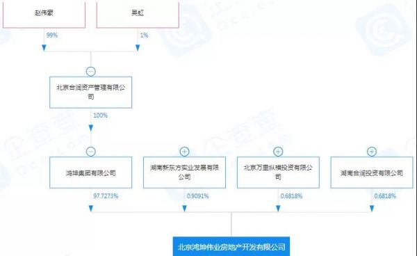 掌家鸿坤金融的女人