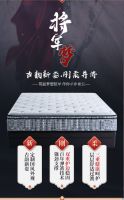 金可儿“将军梦”云发布会,在线玩转新国风