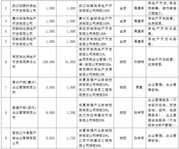 华夏幸福：对外投资12家公司 金额合计156.63亿元-中国网地产