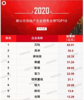 2020年1-11月唐山房地产企业销售业绩排行榜