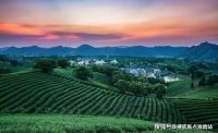 安吉蓝城春风十里中式合院,在售面积,价格,楼盘详情!