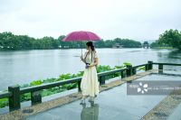 中式典范代表作;蓝城春风十里 备受关注 成爆红养生小镇