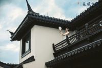 安吉蓝城春风十里中式合院图解-苏式园林风格