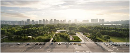 公园大道•上峯|城市天际之上，遇见极简建筑美学 -中国网地产