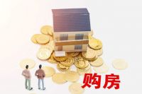 买房机会在哪里？经济学家樊纲：城市群可平衡大小城市矛盾