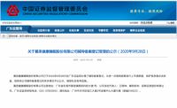 踏上IPO之路的这家企业突然成了“焦点”，因为高端·数字化·全球化