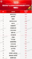 2020年1-11月南京房地产企业销售业绩排行榜