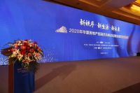 新力控股集团品牌高级总监张洋获金瓴奖“2020年度地产卓越品牌官”