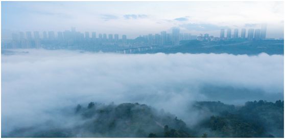 “并非世外，却是桃源”！遇见两江郦湾的湾区半岛生活！-中国网地产