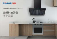 飞奥电器勇夺“中国十大健康节能厨卫品牌”大奖！