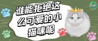 敖广集团巧白品牌强势出圈！