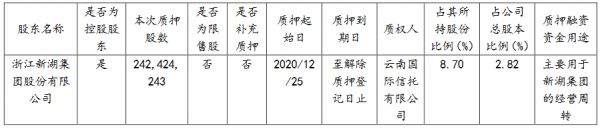 新湖中宝：新湖集团质押2.42亿股公司股份 占总股本的2.82%-中国网地产