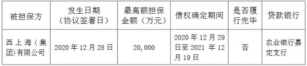 光大嘉宝：为西上海集团提供2亿元担保-中国网地产