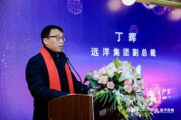 北京远洋乐堤港案名正式发布 成就北京城市副中心新名片