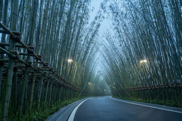 佳兆业五光十色亲子城堡，启幕西区人居新体验-中国网地产