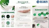 百位经销商齐聚,强力家具跨年订货会圆满落幕
