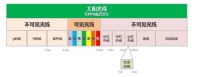 电饭煲只有日本的好?苏泊尔电饭煲更懂中国人的胃
