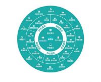 CES 2021首次隔屏相见 海信“屏幕之网”将成最大看点！