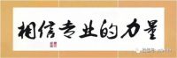 决定品牌销量的永远是坚实的品质与服务