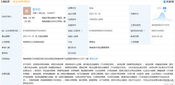 王府井在海南成立两家免税品公司 注册资本均为1亿-中国网地产