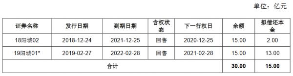 阳光城：成功发行10亿元公司债券 票面利率6.90%-中国网地产