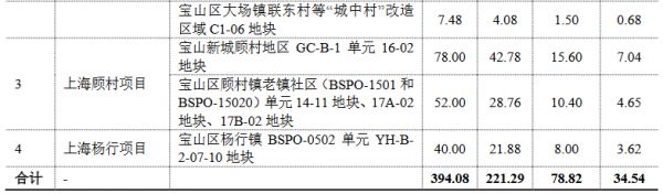 大华集团：拟发行10亿元公司债券-中国网地产